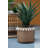 Bea Pot Planter