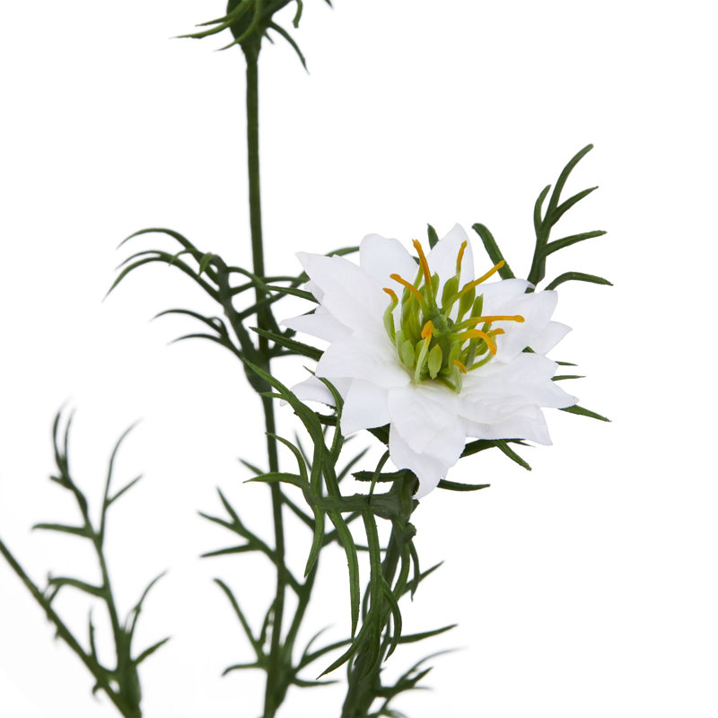 Anastasija Arrangement, White