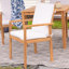 Ensemble de 2 chaises d'extérieur Rodanthe Acacia