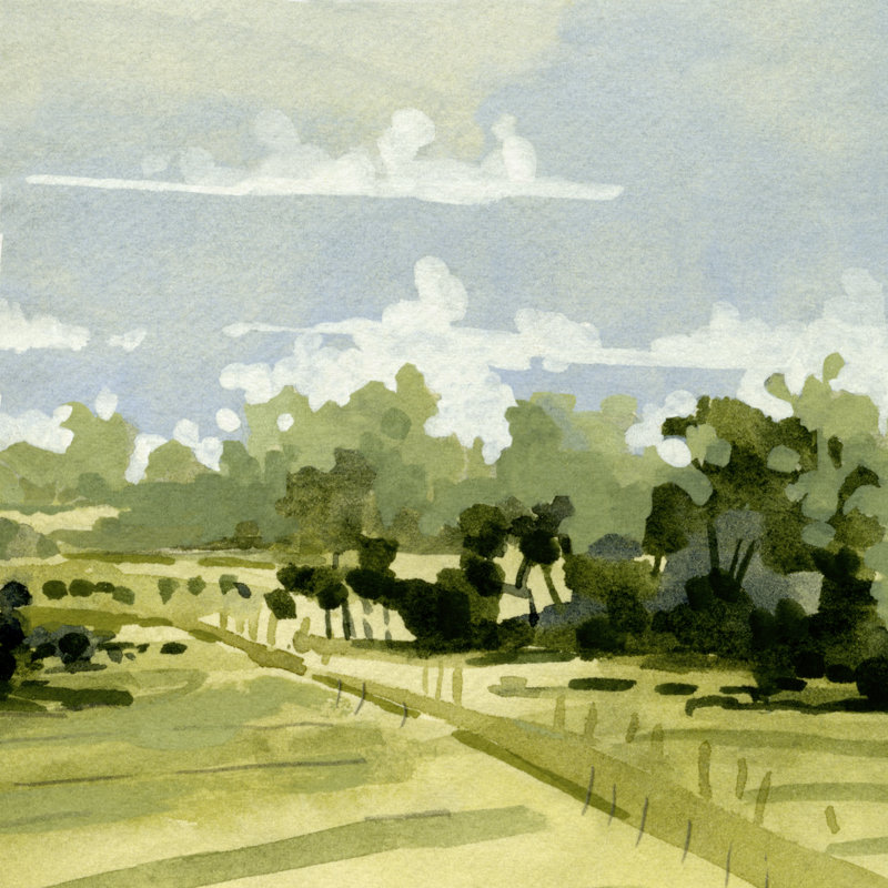 Green Gardens II by Emma Caroline - Wrapped Canvas Print, 122cm H x 122cm W x 3.8cm D