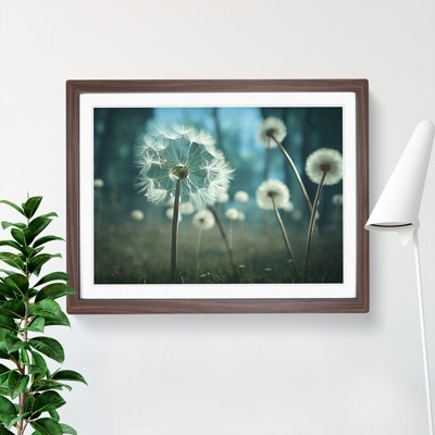 Alluring Dandelion Flowers - Single Picture Frame Print