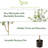 Milnor Minimalist Citrus Artificial Tree-68165557
