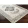 Panorama Oriental Indoor Rug