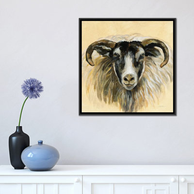 «Highland Animal Ram» par Silvia Vassileva - reproduction d'art
