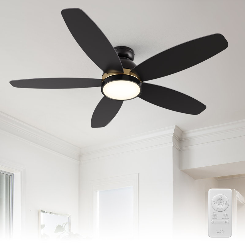 Mintun 48" Flush mount Ceiling Fan with Light and Remote Control, Black