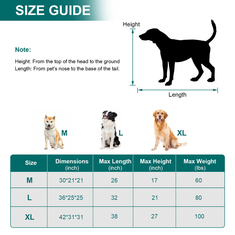 Caisse pour chien 36 pouces