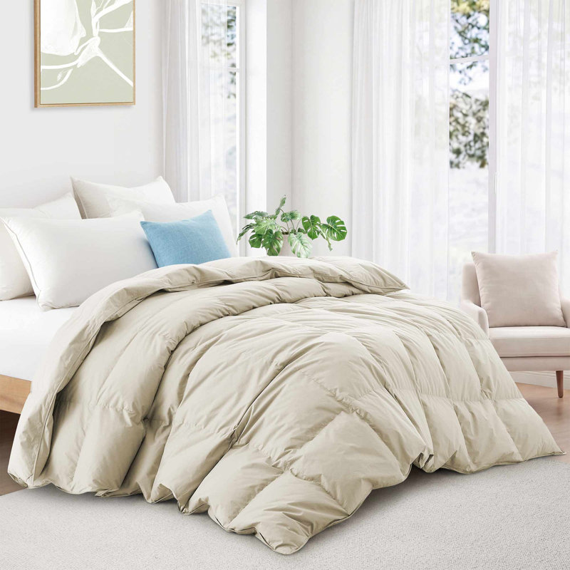 Couette toutes saisons en plumes et duvet d'oie, garnie d'une housse 100 % coton de qualité supérieure., Khaki, Double/Grand