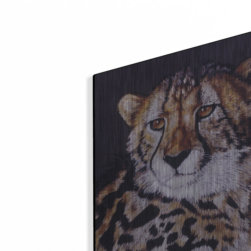 "Distinctive" par Barbara Keith sur métal, H 24 po x l 16 po
