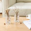 2 Pieces Clear 28cm Indoor Glass Jars Set