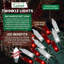 Feux scintillants Tupkee Christmas Uniquely-118614193