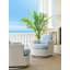 Ocean Breeze Promenade Occasional Chair
