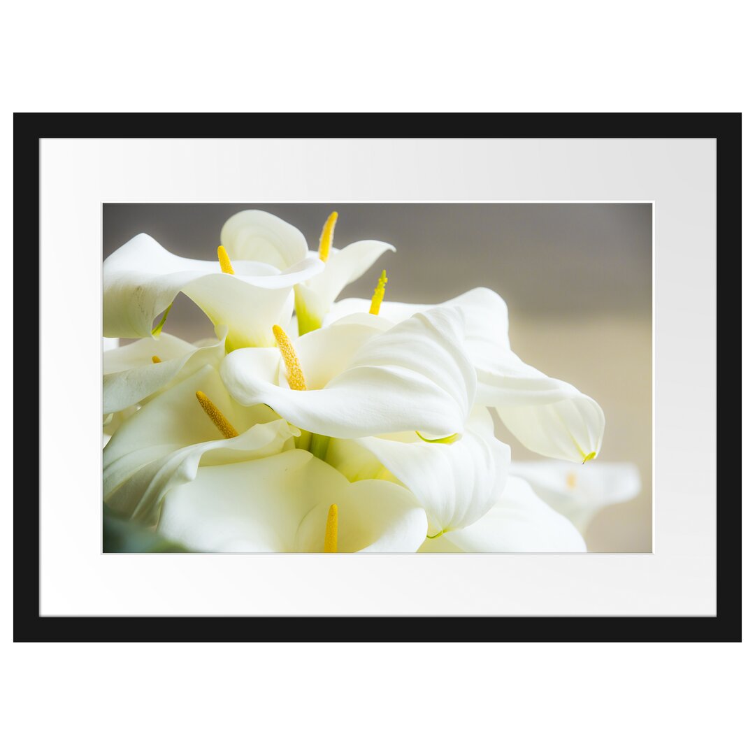 Gerahmter Fotodruck Beautiful White Calla Lilies