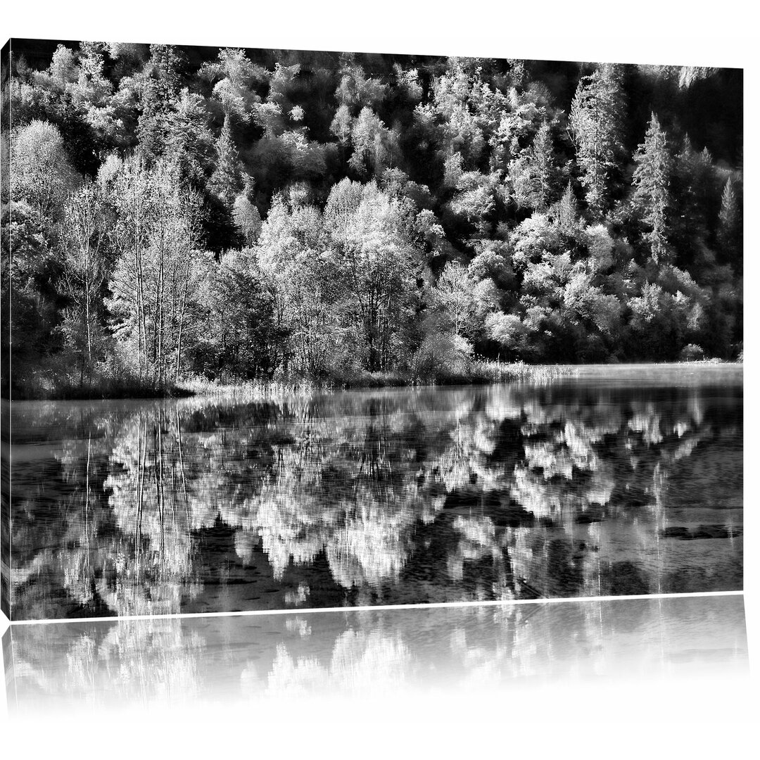 Leinwandbild Herbstlicher Wald am See in Monochrom