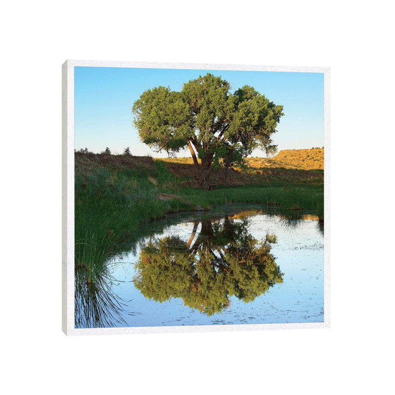 Tree Reflecting In Creek Near Black Mesa State Park, Oklahoma 1 Piece Wall Art on Canvas, 93.98 cm H x 93.98 cm W