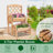 Lorden Raised Garden Bed