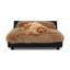 Canapé pour chien Soho-48425303-48425304