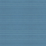 Indoor/Outdoor Fabric