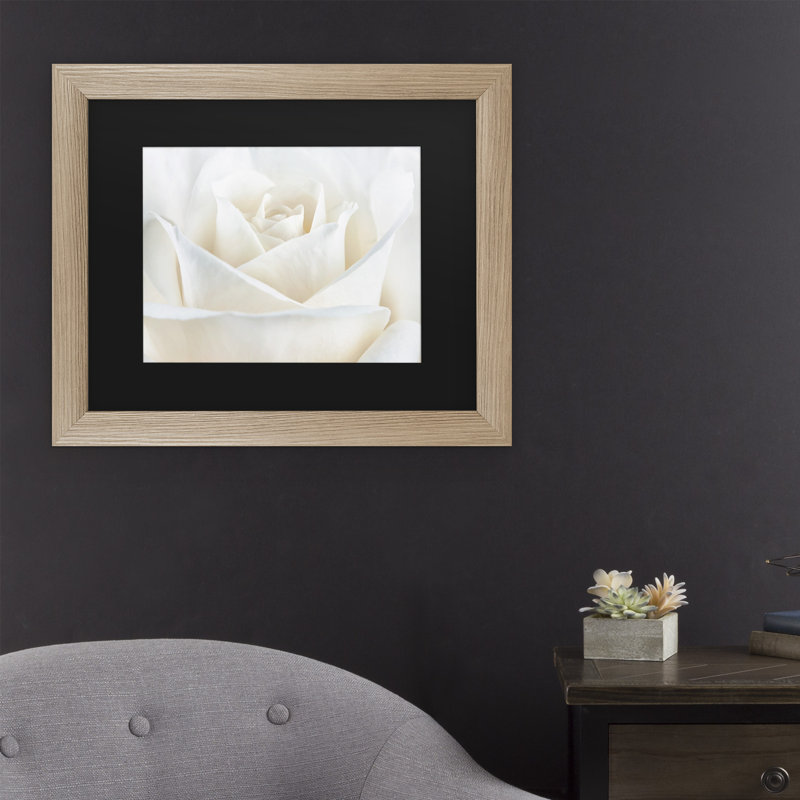 «Pure White Rose», reproduction de photo encadrée, H 16 po x l 20 po x P 0,5 po, Encadrement argenté, Noir
