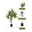 Faux citronnier en pot 47 po