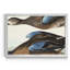 Bleu sarcelle à oreilles bleues - reproduction d'art sur toile-947931699-947931698
