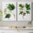 " Mountain Maple " 2 - Pieces-182103264-182450877-182450878