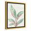 Gingembre II - reproduction d'art-55542000-55542019