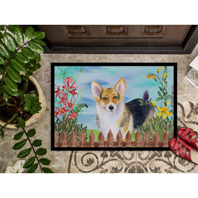 Non-Slip Outdoor Doormat