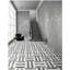 Carreaux de marbre jet d'eau 12 x 12 blanc / gris 2 couleurs pour plancher et mur, carreau de marbre naturel poli, pierre naturelle, marbre véritable, marbre véritable, 1 boîte de chaque motif 4 pièces