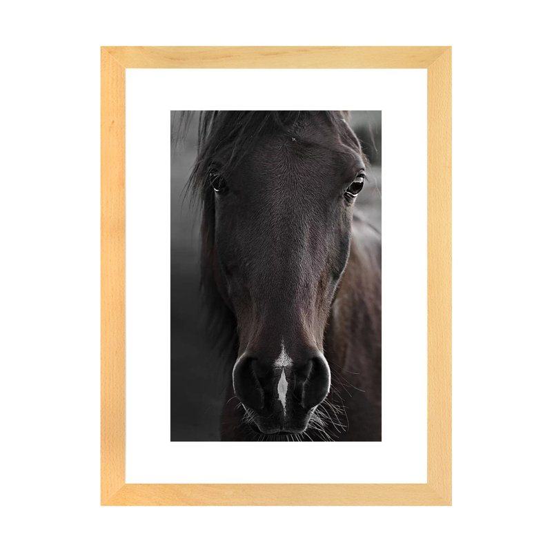 Imprimé cheval foncé par Monika Strigel, Blanc, Toile avec cadre en bois beige, H 24 po x l 16 po x P 1 po