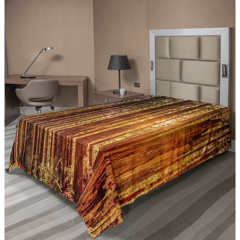Drap-housse Ambesonne, Simple