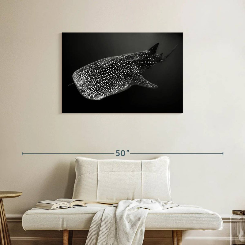 Monochrome Spotted Whale Shark, 24" H x 36" W