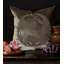Antiquity Square Pillow Cover & Insert