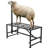 Adjustable Grooming Tub-100497653-100497654
