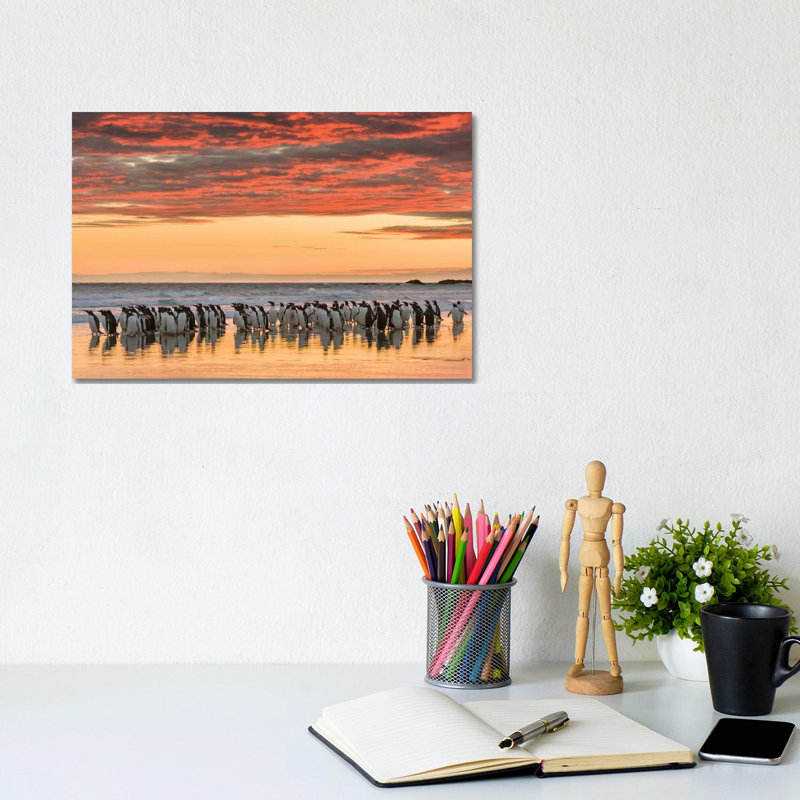 Gentoo Penguin On The Sandy Beach Of Volunteer Point, Falkland Islands by Martin Zwick - Wrapped Canvas Gallery-Wrapped Canvas Giclée