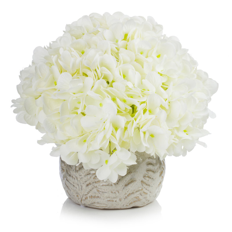Arrangement floral d'hortensias en pot, Crème