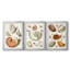 Collection de coquillages I - Toile tendue avec châssis sur mesure - 3 pièces-1280754859-1280754852