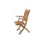 Melosa Outdoor Dining Armchair