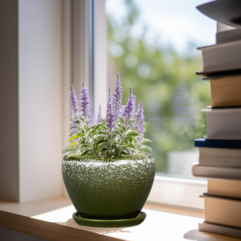 Pot à fleurs succulent en céramique vert foncé 6 pouces