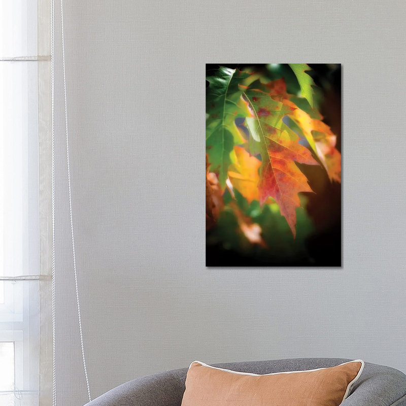 Oak Leaves by Philippe Sainte-Laudy - Wrapped Canvas Print, 66.04 cm H x 45.72 cm W x 3.175 cm D