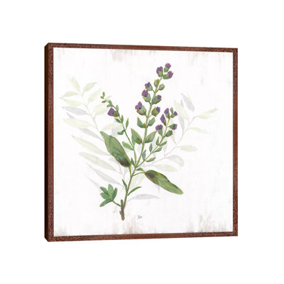 Kitchen Garden II by Nan - Print on Canvas