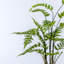 107cm Faux Fern Plant in Cement Pot