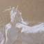 «String Of Horses» par Studio, reproduction d'art encadrée sous verre-1627704039-1627704038