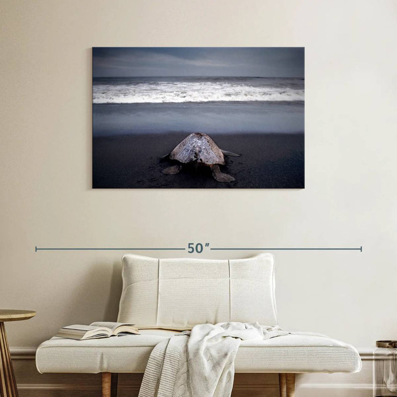 Brampt Ridley Sea Turtle, 26" H x 39" W