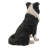 Border Collie Sitting Statue