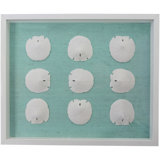 Sealife Framed Graphic Art