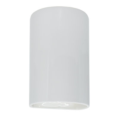 Ambiance 1 Light Outdoor Wall Sconce