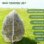 0.1 cm H x 240 cm W Plastic Lawn Edging Fencing