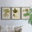 Feuilles antiques IV - ensemble de 3 peintures sur toile encadrées-1306045712-1306045715