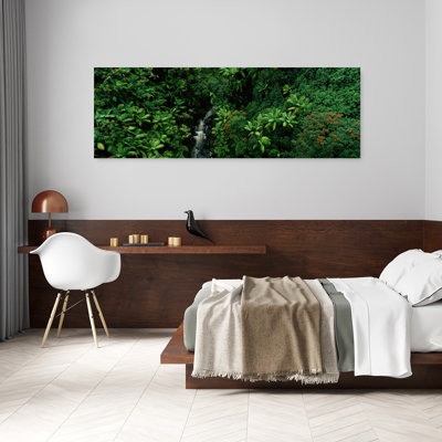 Hamakua Coast, Hawaii, Hawaii, États-Unis, art floral abstrait paysage fougère