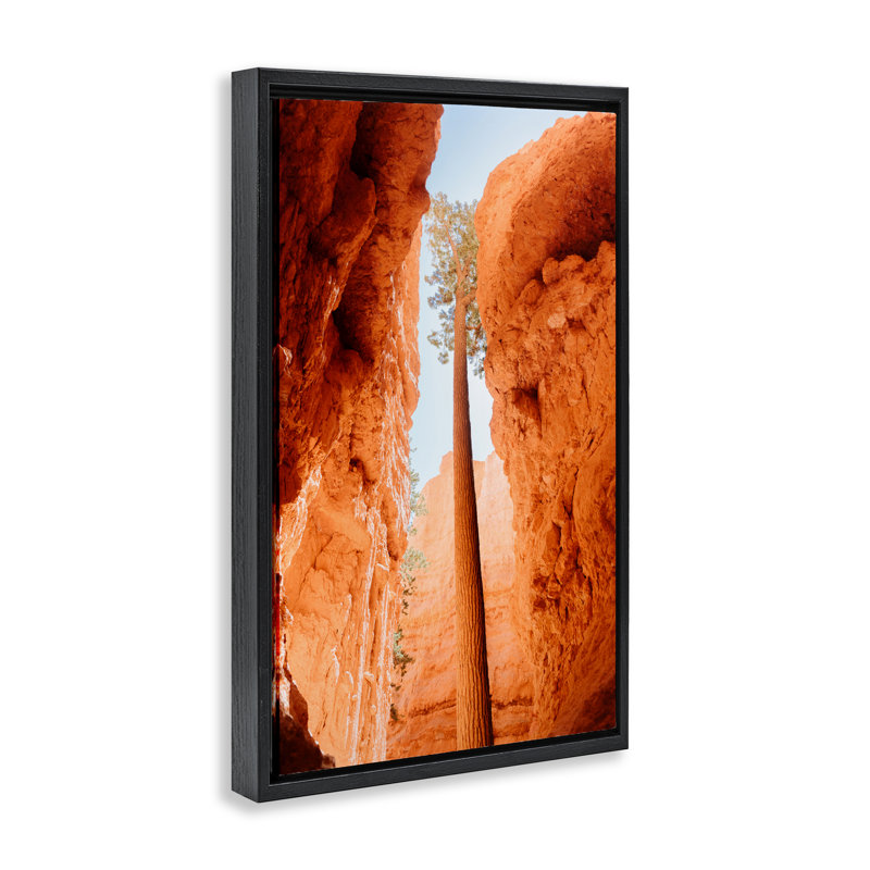 Cadre flottant Bryce Canyon, conception de Jade Sharp Photo, Cadre flottant noir de jais, H 25 po x l 17 po